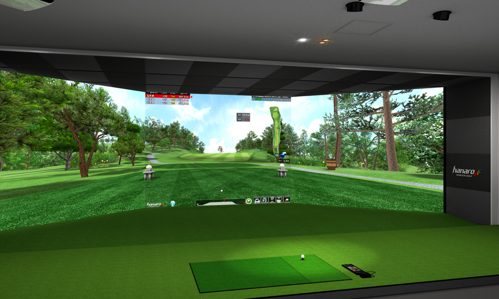 Model of Golf Simulator